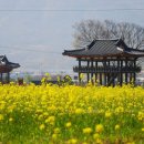 창평남극루 이미지