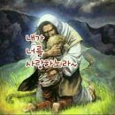 샬롬 - 은평구 | 샬롬