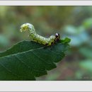 우연한발견 이미지