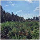 여기 좋아 이미지