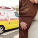 평화5(쌍둥이) 이미지