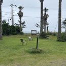 [제주 서귀포 숙소] 445더팜스 솔직 후기 - 남원 야자수 바다뷰 가정집st 펜션
