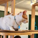 그루몽실 이미지