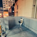 랙돌캐터리파이널돌 이미지