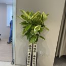 유니메디테크 이미지