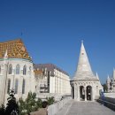 용모농장 이미지