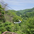 좌구산 오토캠핑장 이미지