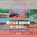 삼호 철새마을 게스트하우스 이미지