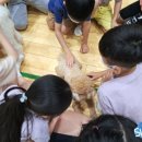 노안남초등학교 | [스카이교육] - 노안남초등학교 진로직업체험 2023.07.17