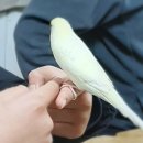 새아리농장 이미지