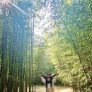 구룡황토펜션 | 익산 가볼만한곳 구룡마을 대나무숲, 미륵사지 등