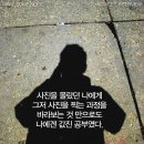 마스타월드