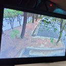 영맨카써비스 이미지