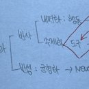 반영적추상화 이미지