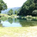 솔치송어파티 이미지