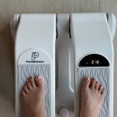 클라이머 | 무릎 부담 없는 홈트 계단운동기구, 파워몬 에어클라이머2 에어스텝퍼 후기