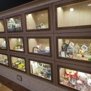 마루애견 이미지