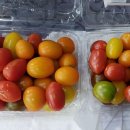 천지당구장 이미지