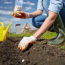 청도군농업기술센터 이미지