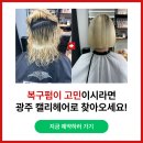 캘리헤어 광주점