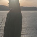 블루버니 이미지