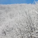 은빛세상 이미지