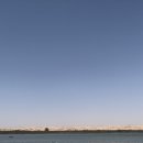 나무네농장 이미지