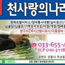강릉천사장의나라 - 강릉시 강릉대로 365 | 강릉천사장의나라