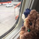 스타트레인(startrain) | [ 2018.07.08 ] 오노 다이스케 라이브 투어 2018 오사카 2일차 참전! + 여기저기 돌아다님