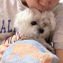 일상(日常) 그 그 | [日常] 2601/ 갈망하다 죽지않기를 갈망해