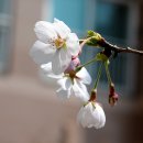 천금농장 이미지