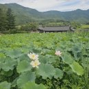 실상사 석장승 | 남원 지리산 자락에서 천년의 시간을 품은 천년고찰~ 실상사 후기