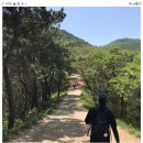 제722차 (9/26)추석맞이 근교산행 황령산~ 이미지