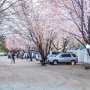 돌배야영장(제2야영장) 이미지