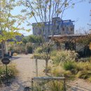 현풍읍 행정복지센터 주차장 이미지