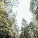 제일장의용품 이미지