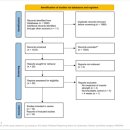 MUSCLE FLOW 이미지