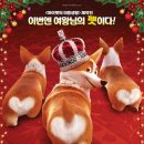 프린스펫 이미지