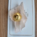 대겸한의원 이미지