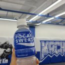 김장용 종합격투기 이미지