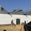 맘마농장 이미지