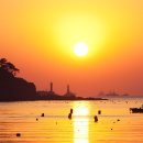 대지(大地)의 꿈 이미지