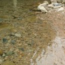 돌섬휴게소 이미지