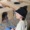 나무향기펜션&커피 이미지