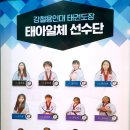 강철 용인대 태권도장 이미지