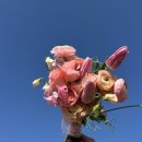 서초대로 114-12 이미지