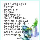 생기율공원 이미지