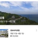 경포비치호텔 | 강릉 경포비치호텔 1박 후기(feat. 솔향콜택시)