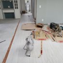 시영스타 이미지