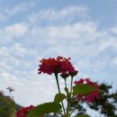 문희한옥체험 이미지